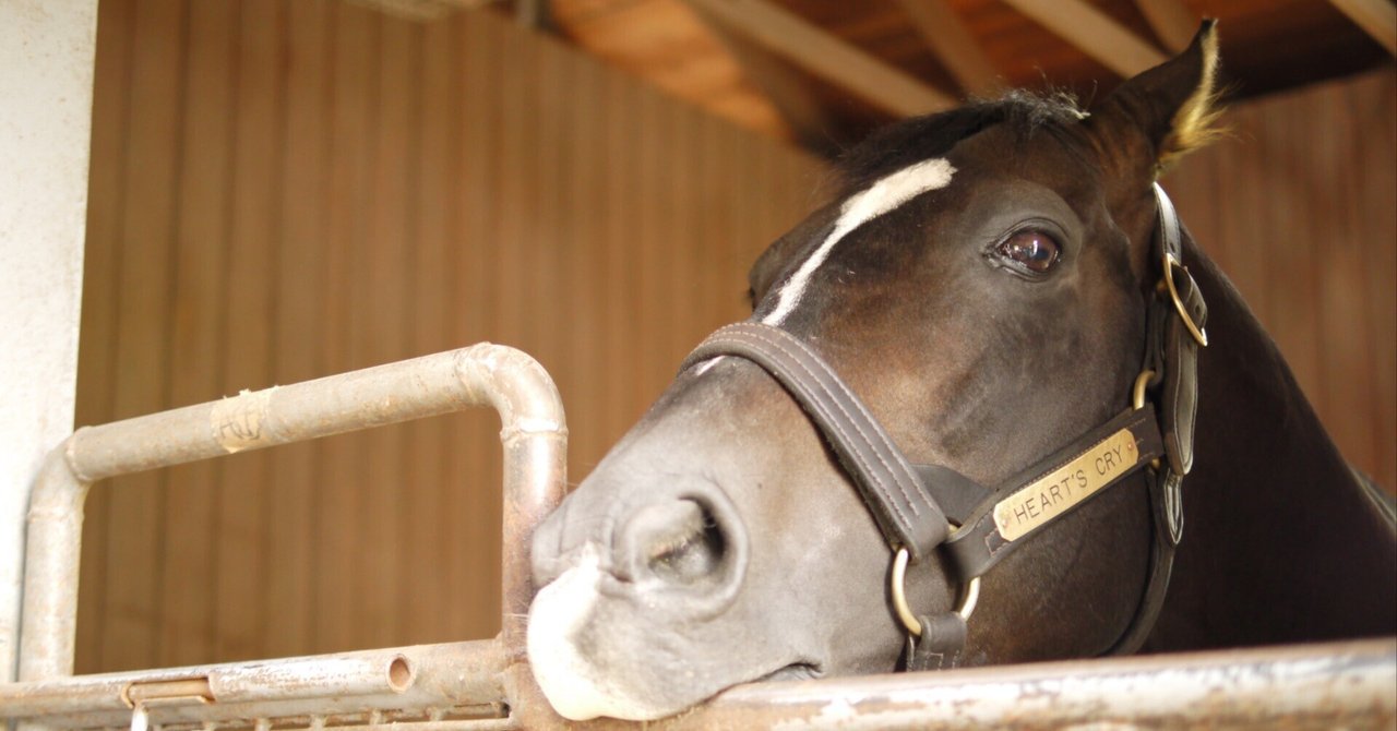 天覧競馬となったイクイノックス対ドウデュース、展開を握るあの