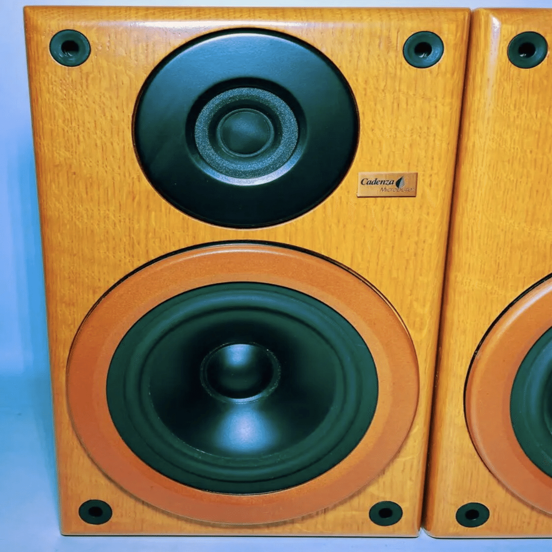 マイクロピュアスピーカー ap103 AP103SD - マイクロピュア