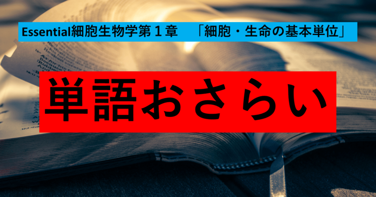 Essential細胞生物学 バカバカしく Essential細胞生物学 バカバカしく