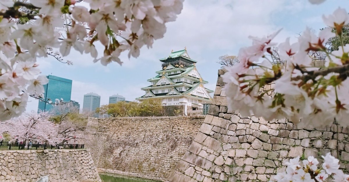 頭石、霊峰、桜石、そして金箔を張ったような紋様の桜石です。 頭石、霊峰、桜石、そして金箔を張ったような紋様の桜石です。