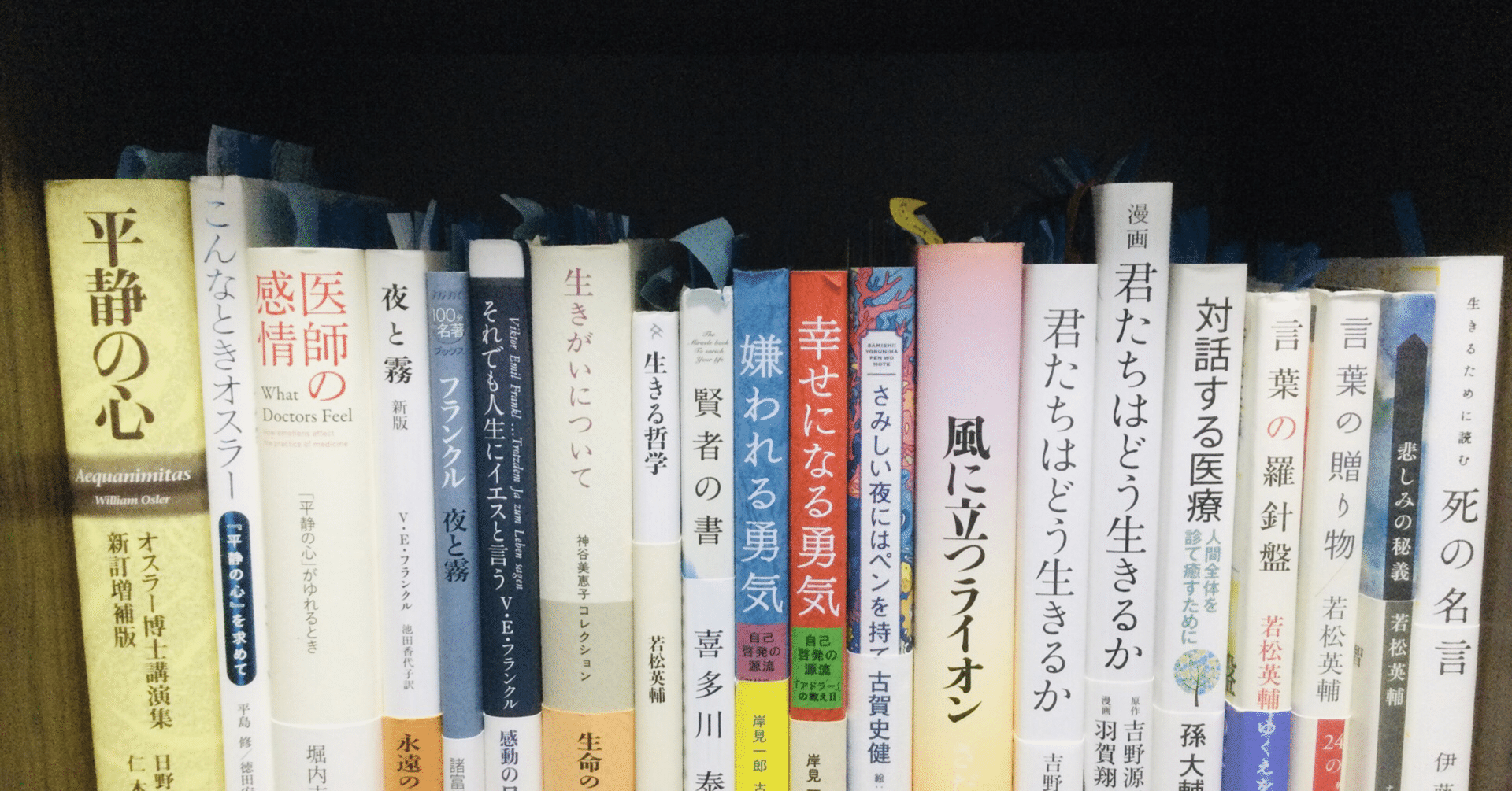 新出孤蝶 Kocho-Niide 試される大地のジェネラリスト