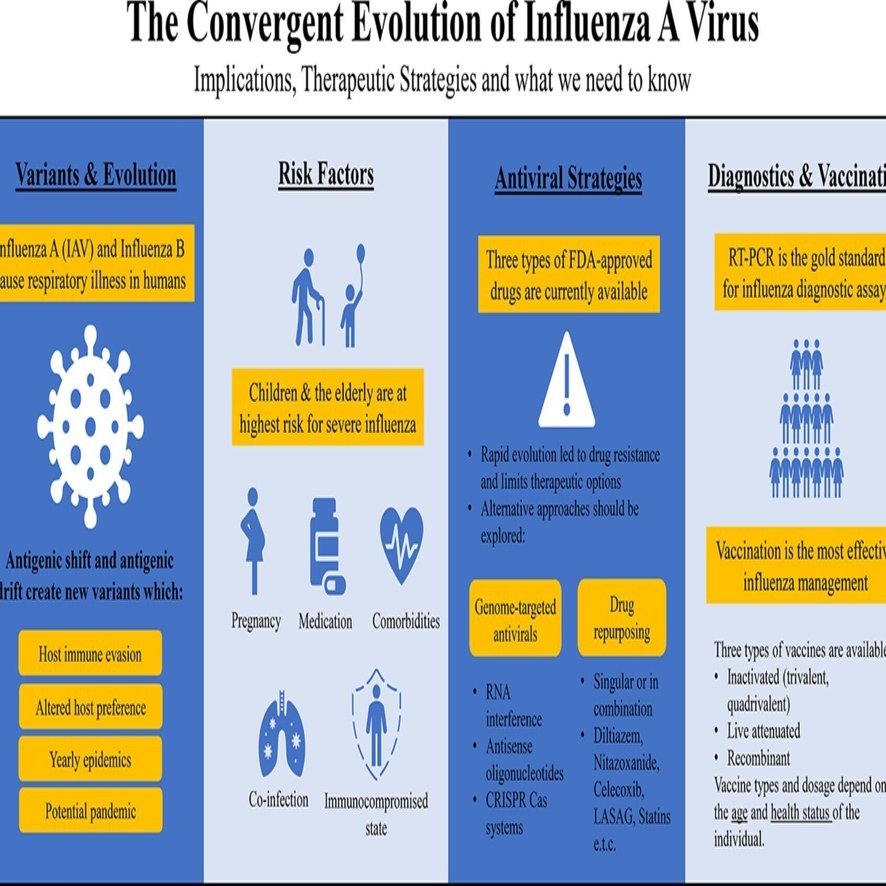 CKページ　2点おまとめ A型インフルエンザウイルスの収斂進化： その意味するもの、治療戦略