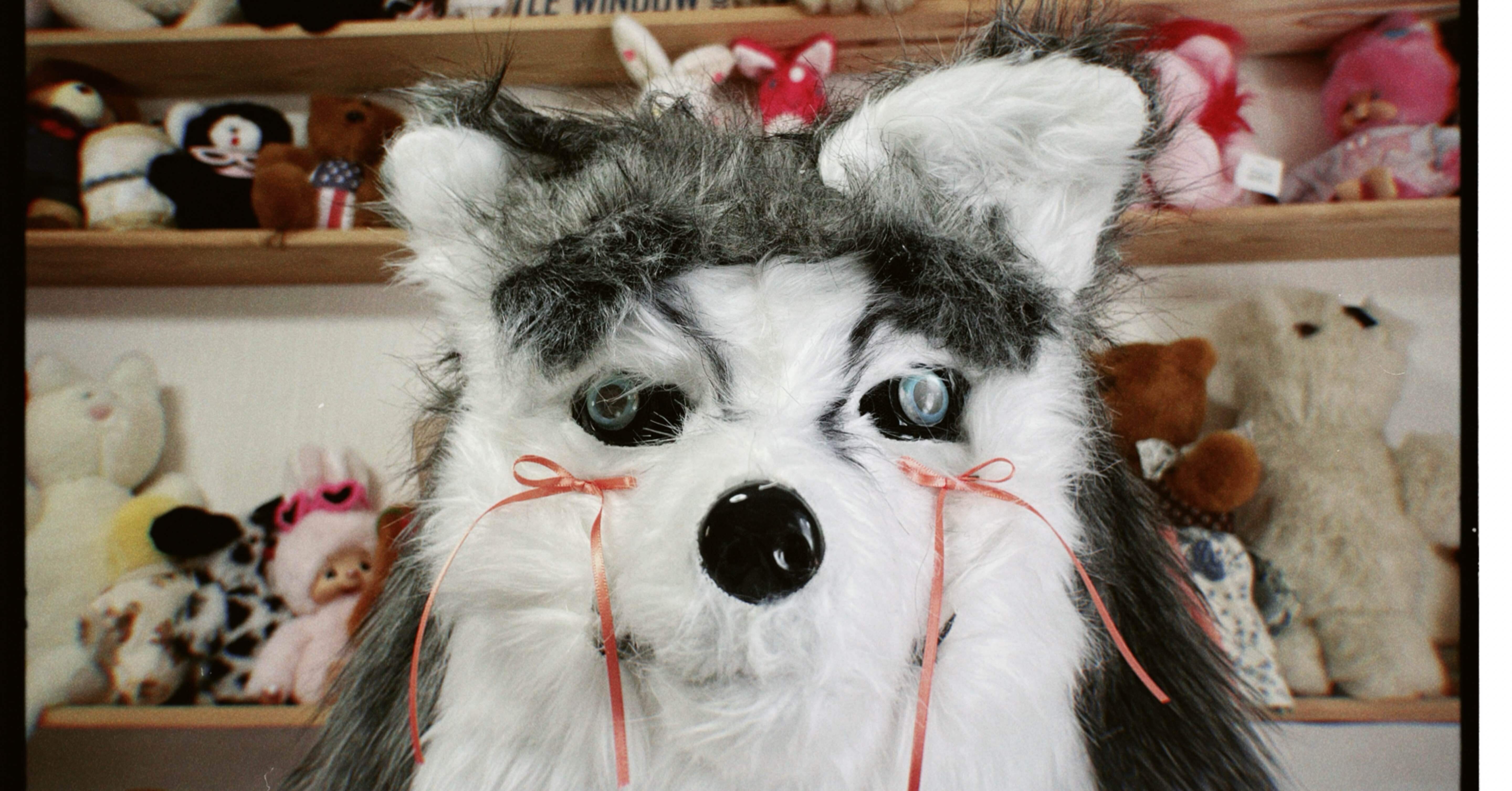 ぬいぐるみ作家。今年はハロウィン楽しんでる。｜Ayumi Ozaki