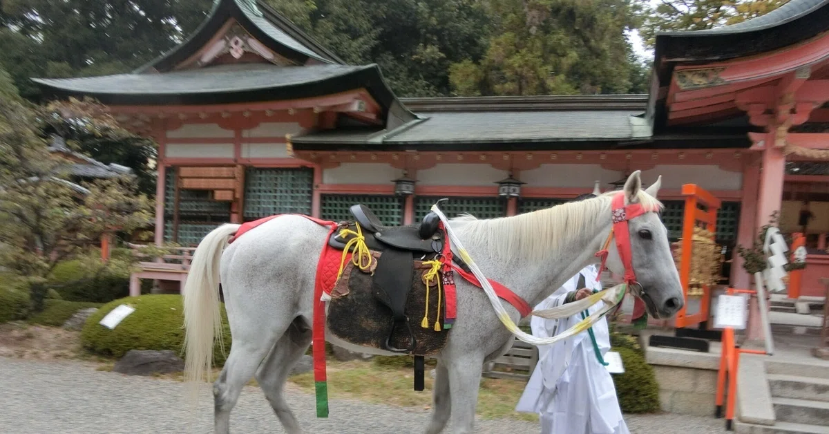 金運爆上げ これは凄い！最高級総天然白檀製 京都東寺限定