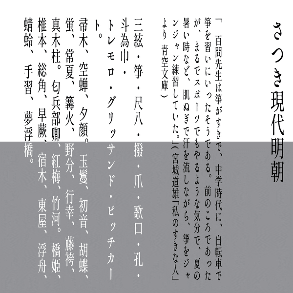 価格は安く 活字 新旧1号 ひらがな カタカナ ゴシック体 太字 細字 その他