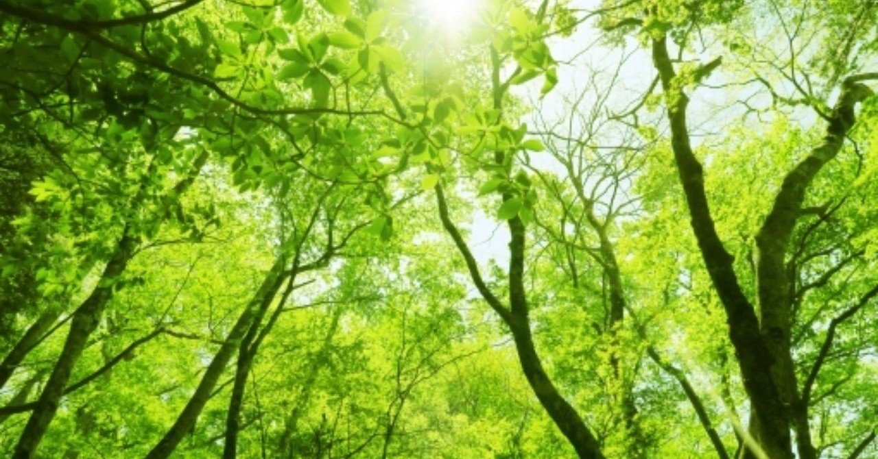 似た者同士の夫婦は変わらない 斎藤一人 Note