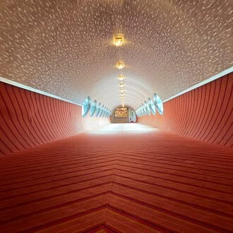 コスモは今の中で