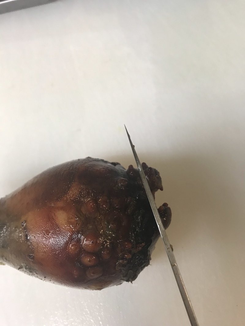 気づけばアナタの虜 ホヤってば たぬき女将 郷土料理研究家 Note 気づけばアナタの虜 ホヤってば たぬき女将 郷土料理研究家 Note