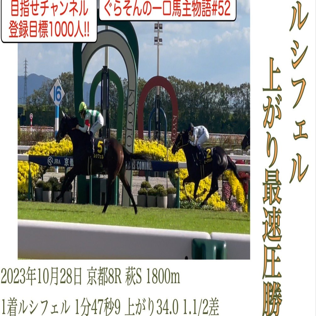 競馬現地映像】ルシフェル 萩S 圧勝❗️ 2023.10.28 京都芝1800