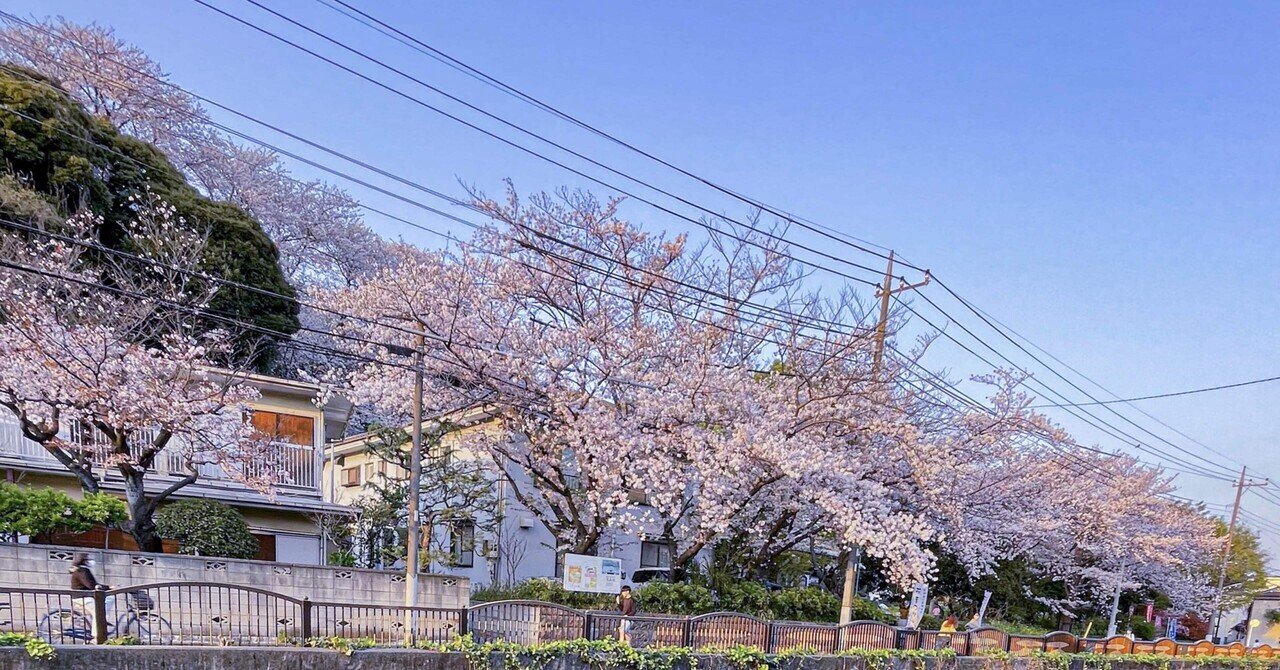 旅とカフェ好きにおすすめの引っ越し先！アクセス抜群な大田区の魅力３つ