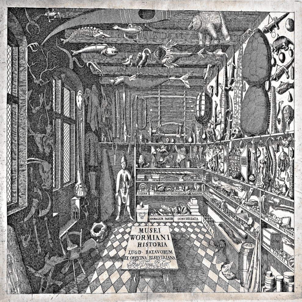 ヴンダーカンマー」あるいは「驚異の部屋」について1｜オキュートキュート