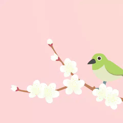 白梅虎