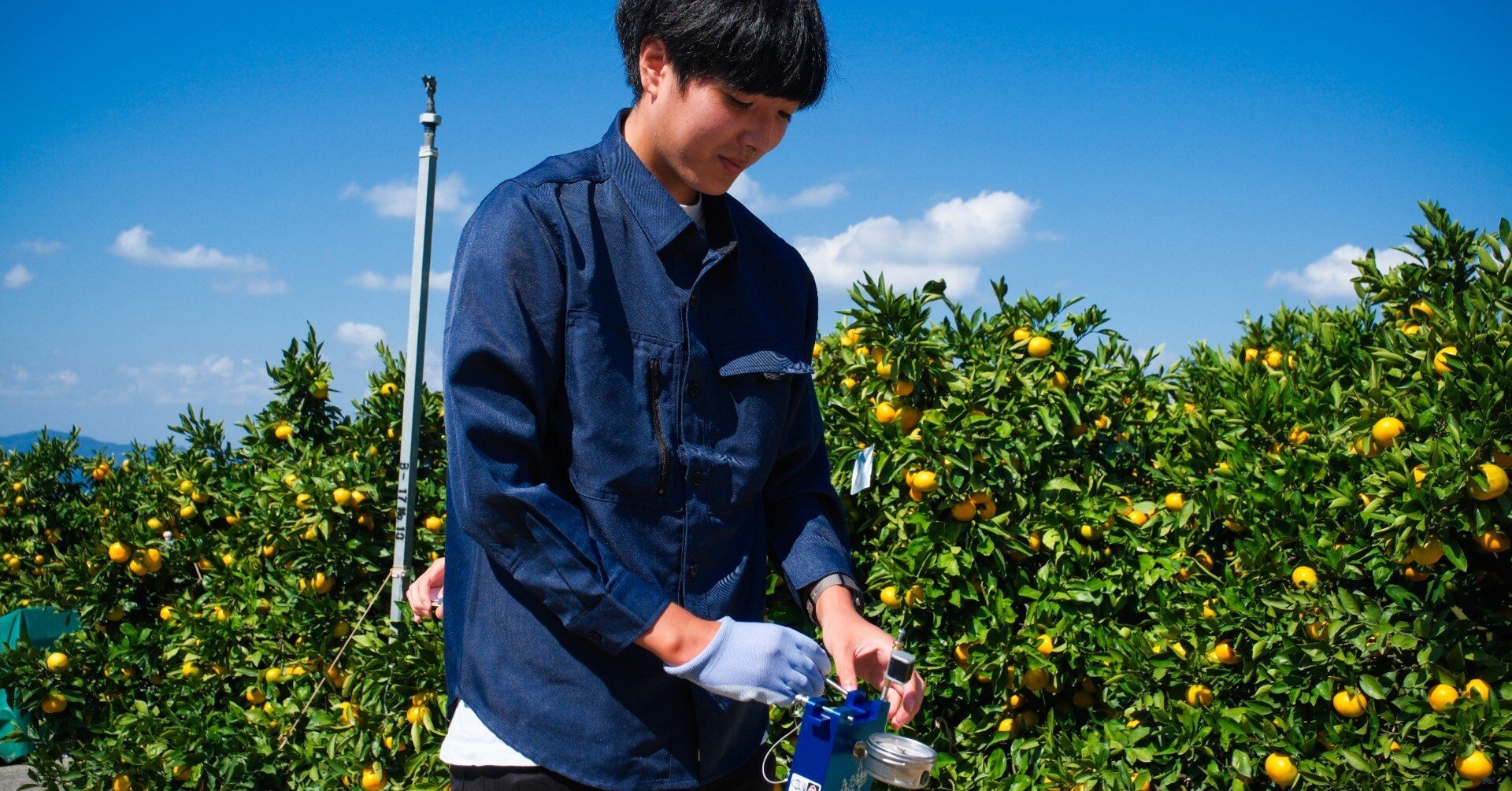 学生も参加！次世代に繋げる！名人の栽培ノウハウをデータ化【株式会社