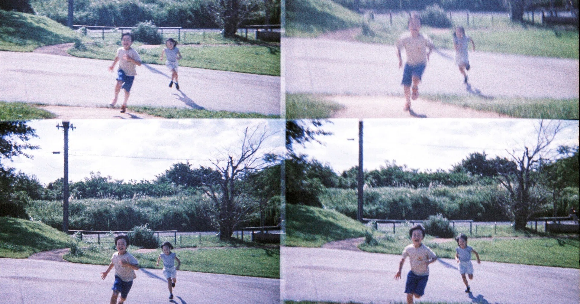 LomographyJapanインタビュー：Diana Mini /ActionSampler｜ちーぼー