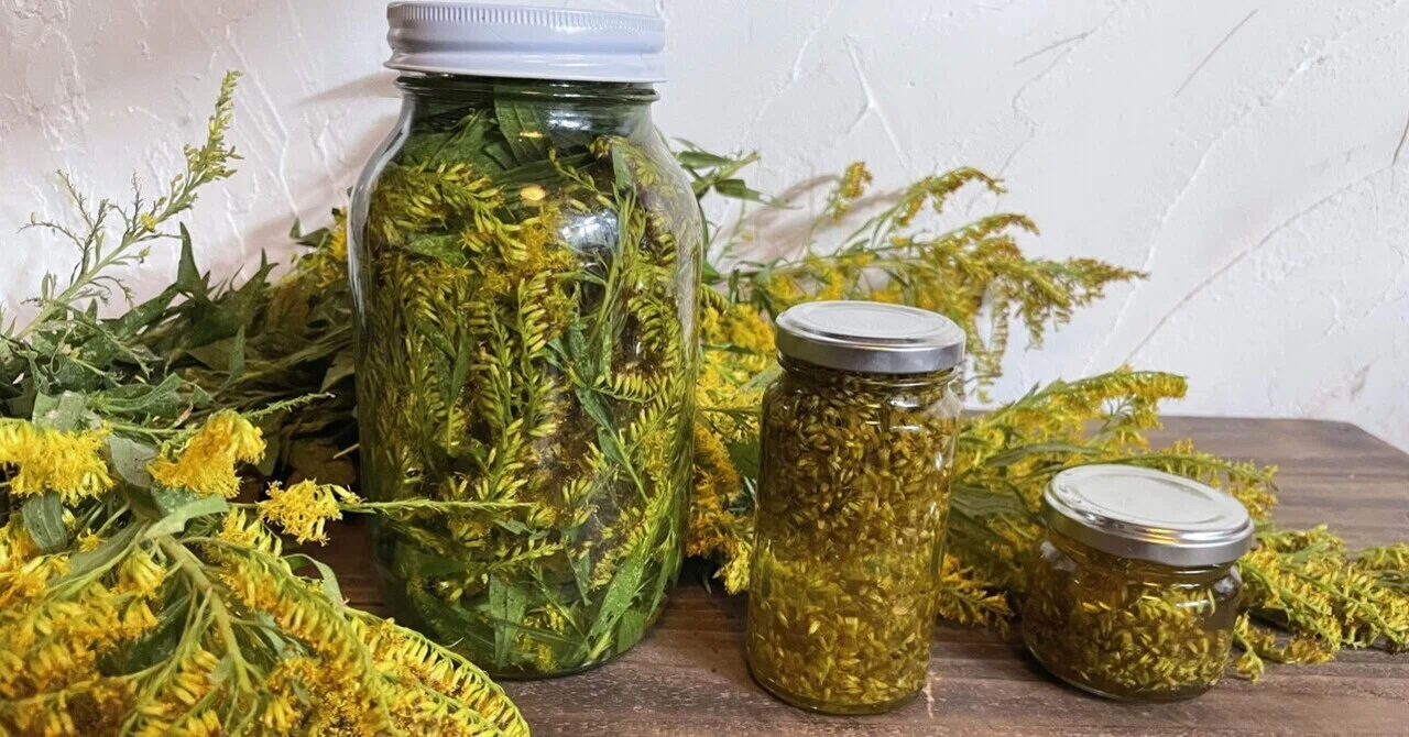 【ひで】セイタカアワダチソウの越冬完熟クリーム蜂蜜　1,000g 3本 送料込】SANBE Botanicals〈セイタカアワダチソウ〉アロマ3点セット