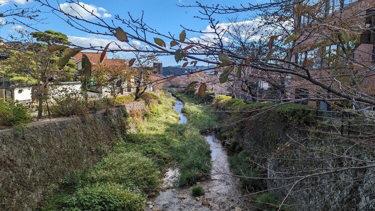 鴨川を模した一の坂川。かつて大内氏が京都を造ろうとした痕跡。