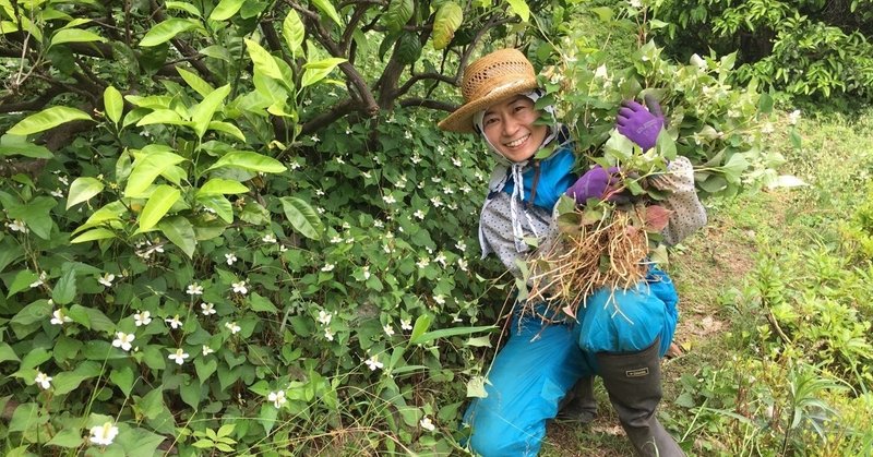 ドクダミ入浴剤作り 中屋香織 Note ドクダミ入浴剤作り 中屋香織 Note