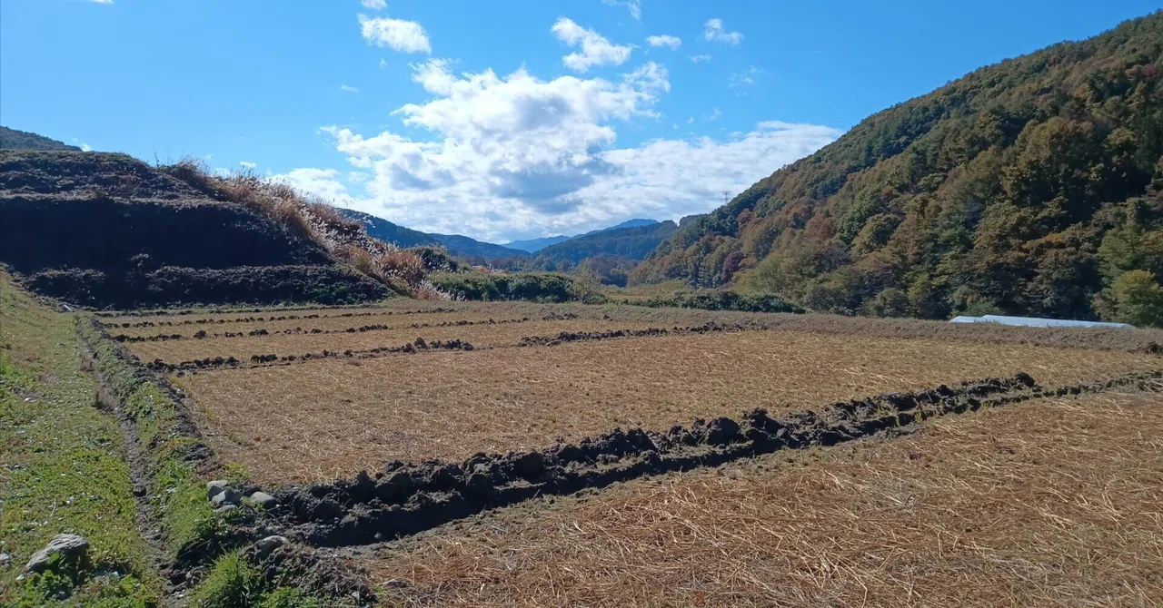 無農薬田んぼの記録⑦｜はる／田舎暮らし _ 田んぼ 除草 動画 – APGNFR
