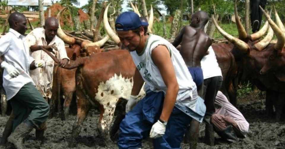 獣医学生にお勧めする学生生活の過ごし方 わたし松波登記臣の場合 松波登記臣 まつなみときお Note