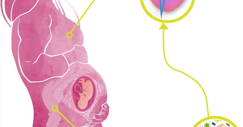 子癇前症とは何ですか?