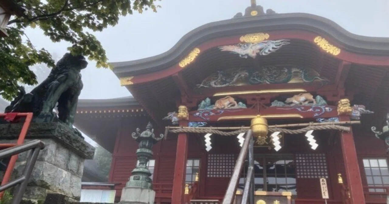 社*猫様 法螺貝 ほら貝 修験道 山伏 網付き 神社 お寺 お祭り 魔除け