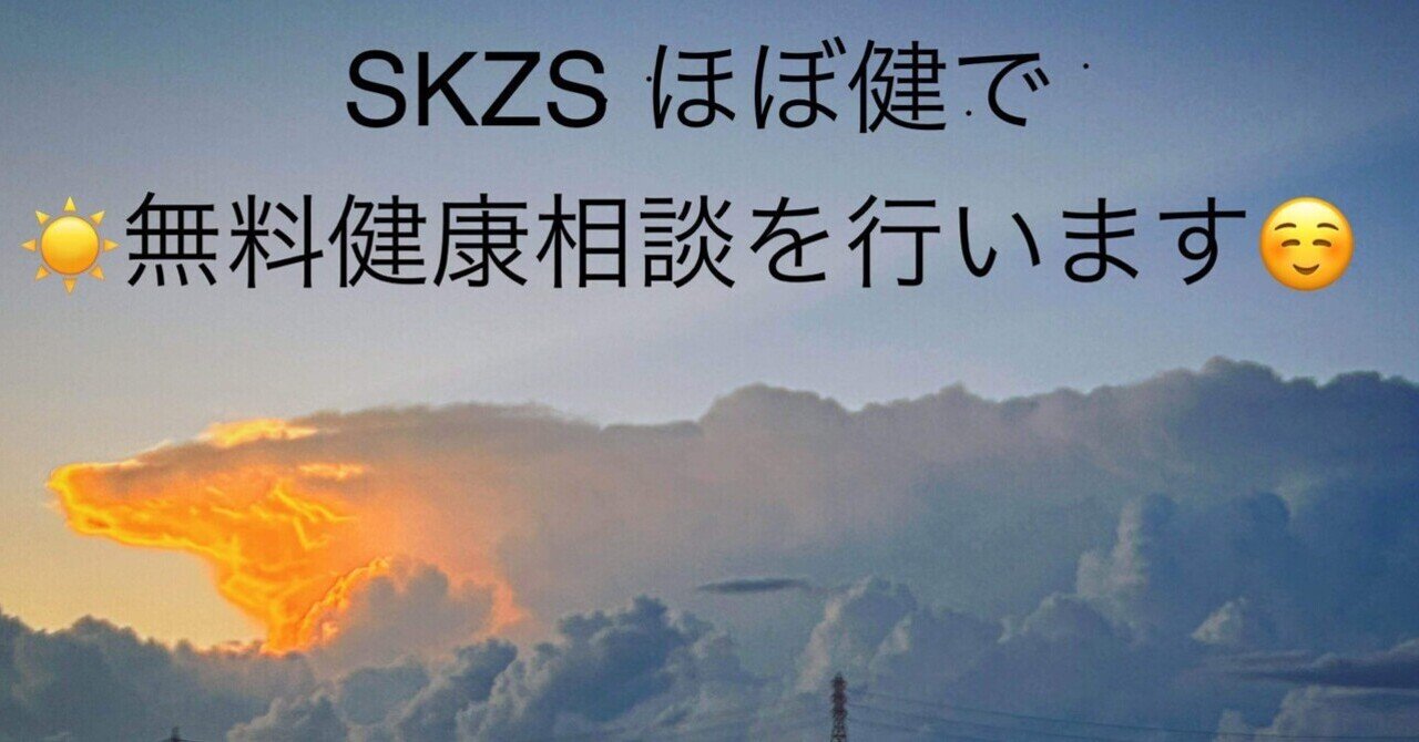 【新作入荷!!】 SKZS.jp. ほぼ毎週健やかな体を作るセミナー(ほぼ健ゼミ)で健康 その他