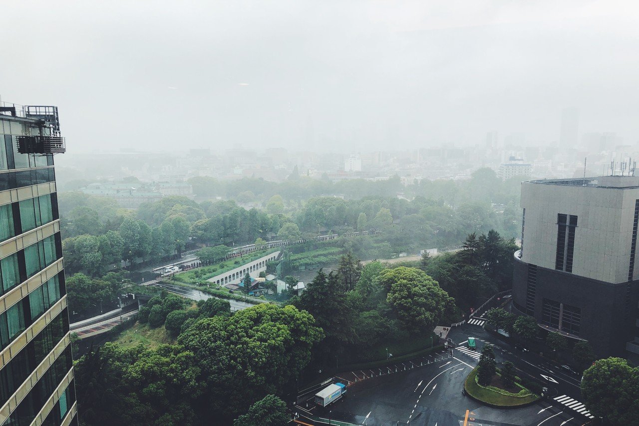雨の東京 495 稲垣純也 Note