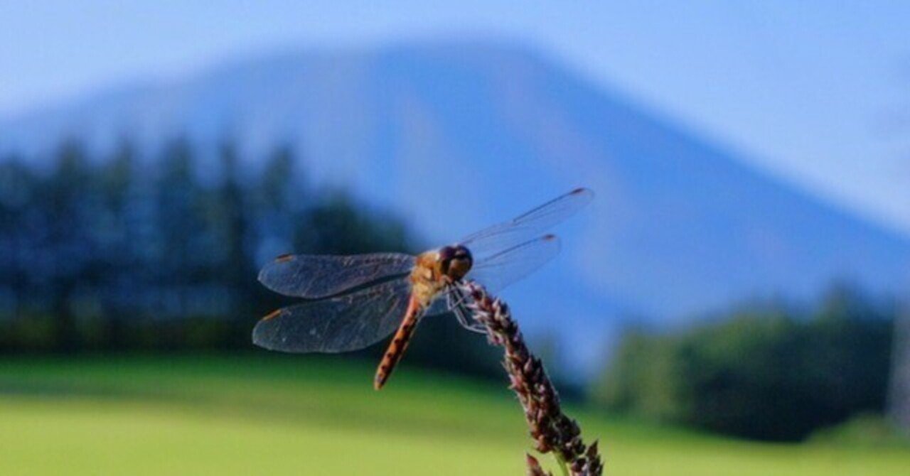 トンボとか山とか秋の写真｜歩きまわる写真館・ひらい