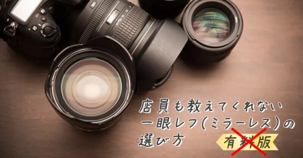 最安!初心者サポート付!Nikon一眼レフカメラ用ズームレンズ 最安!初心者サポート付!Nikon一眼レフカメラ用ズームレンズ
