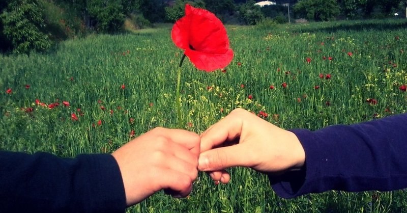 男と女 恋や愛について はな Note