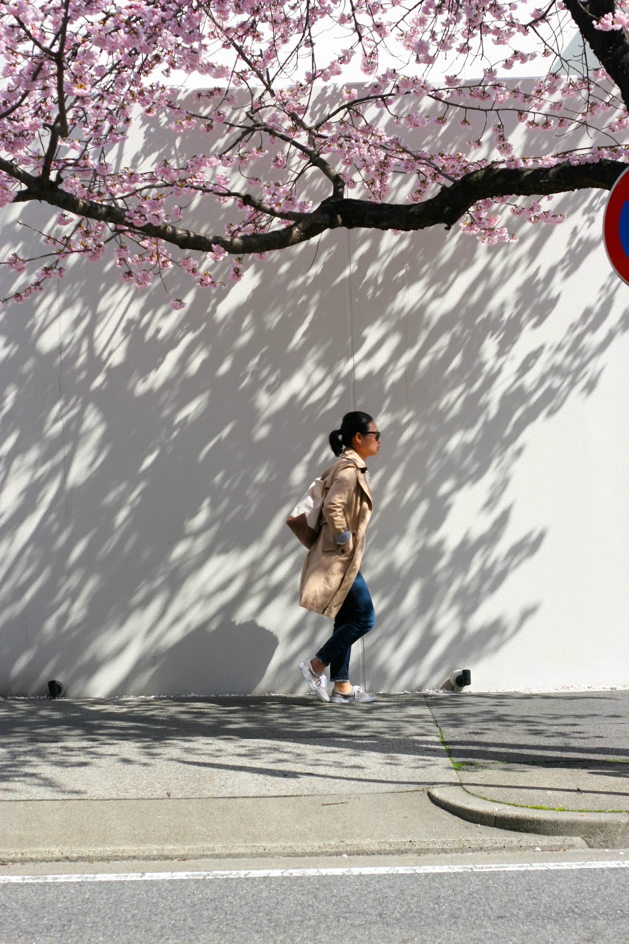 ♦️手放せない名機！完成されたスタイルを確立！EOS 20D♦️ キヤノンの撒き餌〜Canon EOS 20D｜元田中マロ