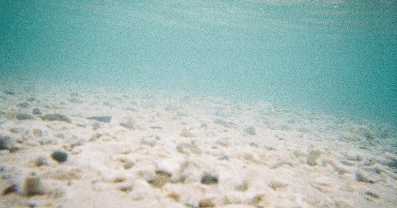 写ルンですのススメ 水中カメラ ちーぼー Note