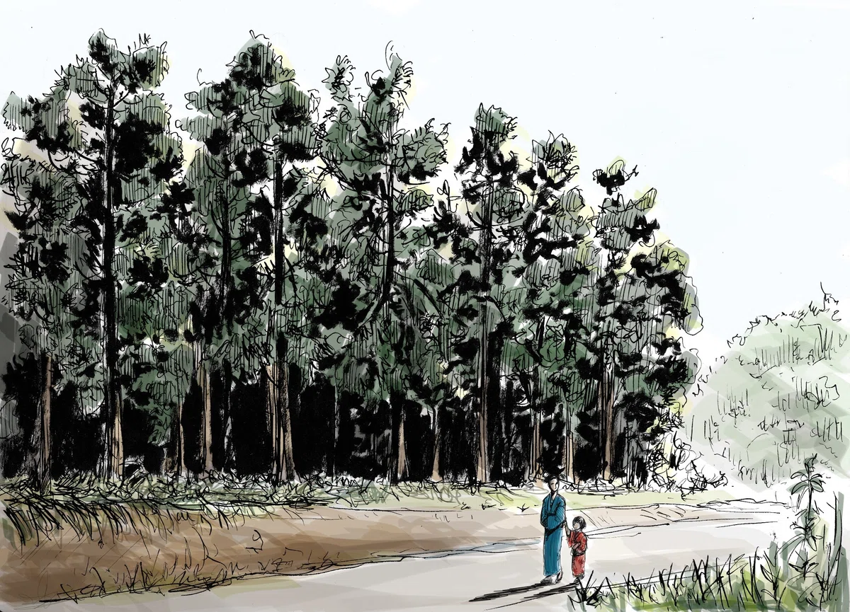 画像