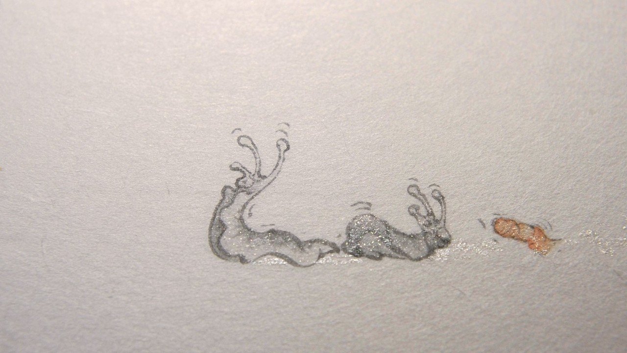肉筆浮世絵『龍と笄蛭』｜中坪宏太