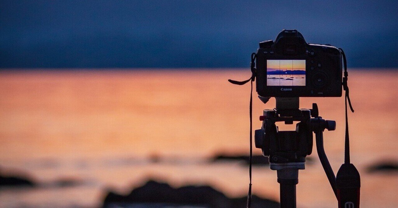 デジタルカメラは絶滅種？｜Pierre Moriyama