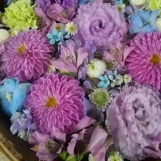 さらさらら