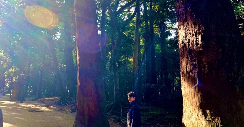 雷神轟き神風吹く【雷 神鳴り 神成り】