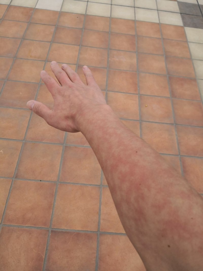 Nfサウナキャンプ感想 おひや Note