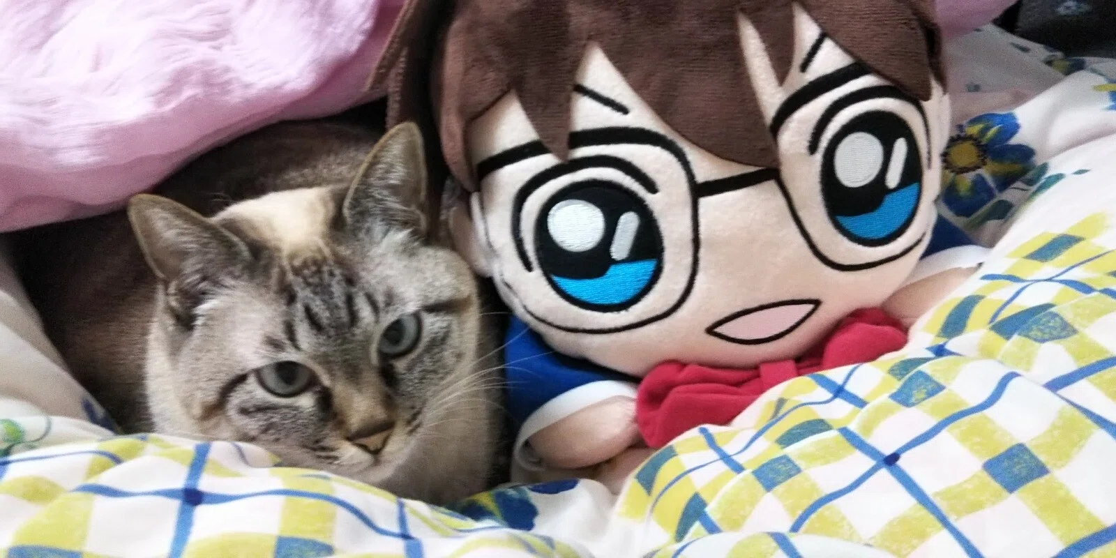 MIMI｜note