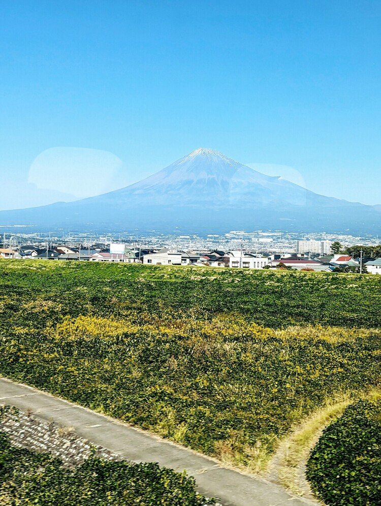新幹線から富士山が見えました🎶🗻