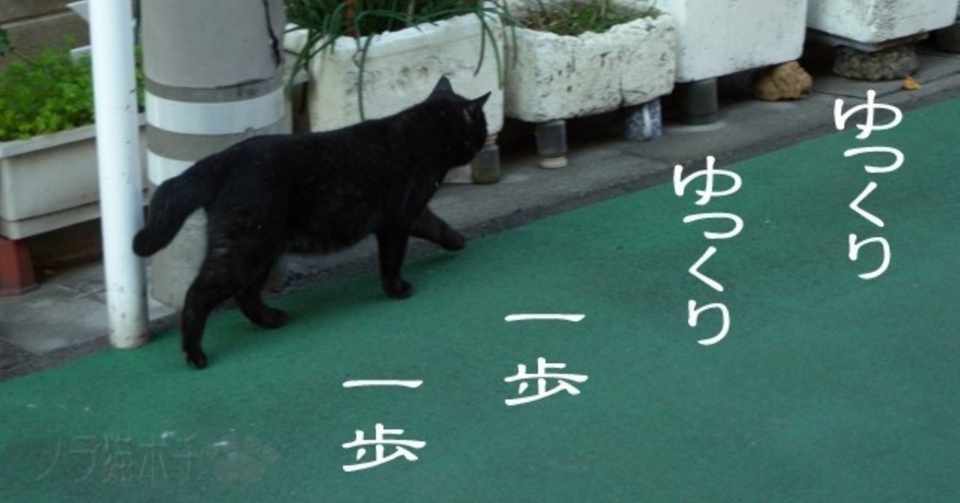努力から継続へとハマる心境を名言風にまとめてみた 三木智有 家事シェア研究家 Note