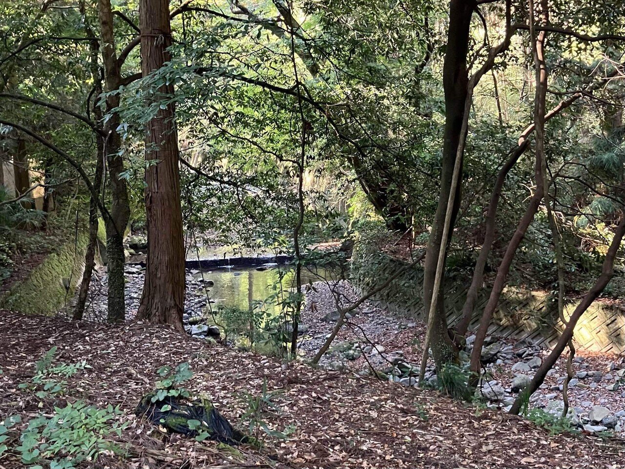 Mt.OM 山桜　ククサ　手彫り　漆塗り　一点もの　ソロキャン　 野営 Mt.OM 山桜ククサ手彫り漆塗り一点ものソロキャン 野営