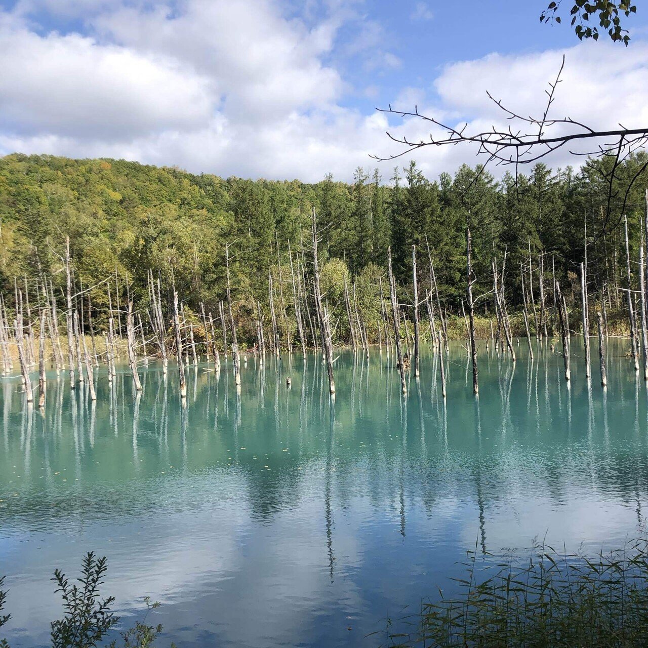 10月の美瑛〜富良野〜旭川〜東川町の2泊3日の旅｜旅好き
