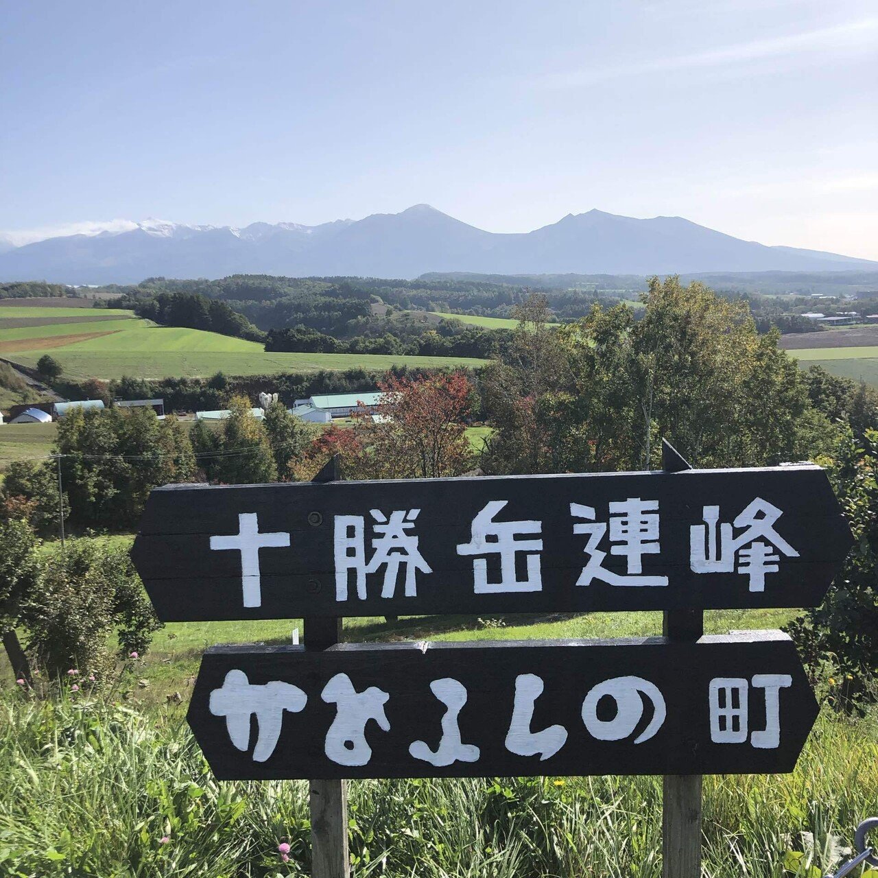 10月の美瑛〜富良野〜旭川〜東川町の2泊3日の旅｜旅好き