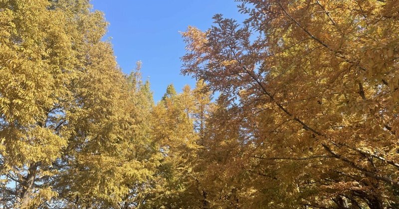 神戸市立森林植物園