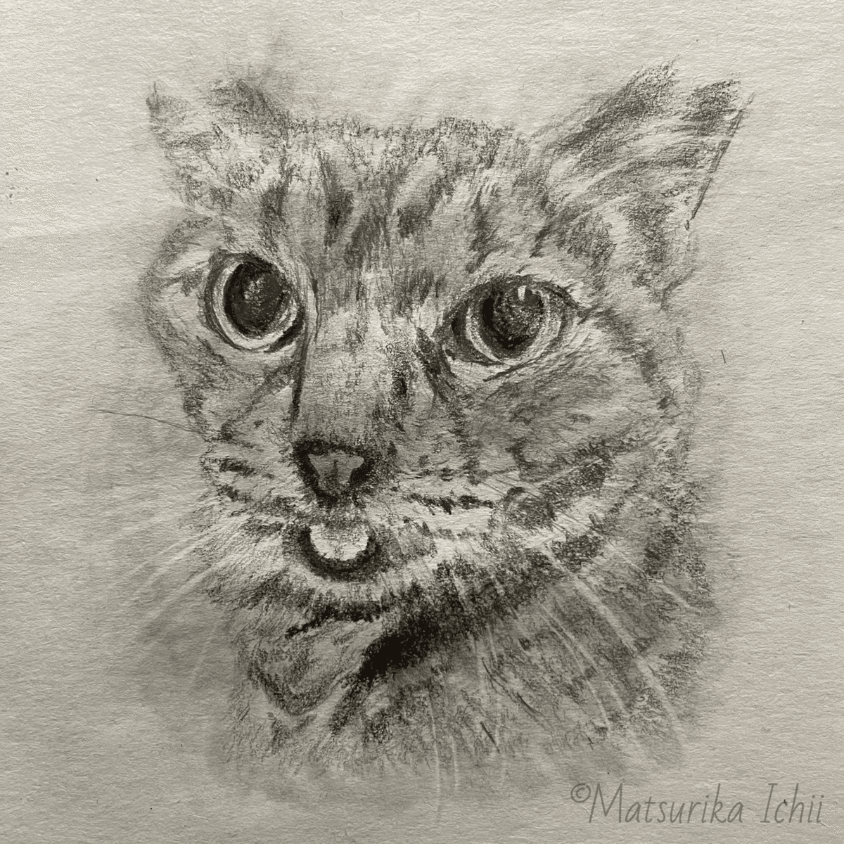 鉛筆画猫 デッサン 素描 子猫｜Yahoo!フリマ（旧PayPayフリマ）