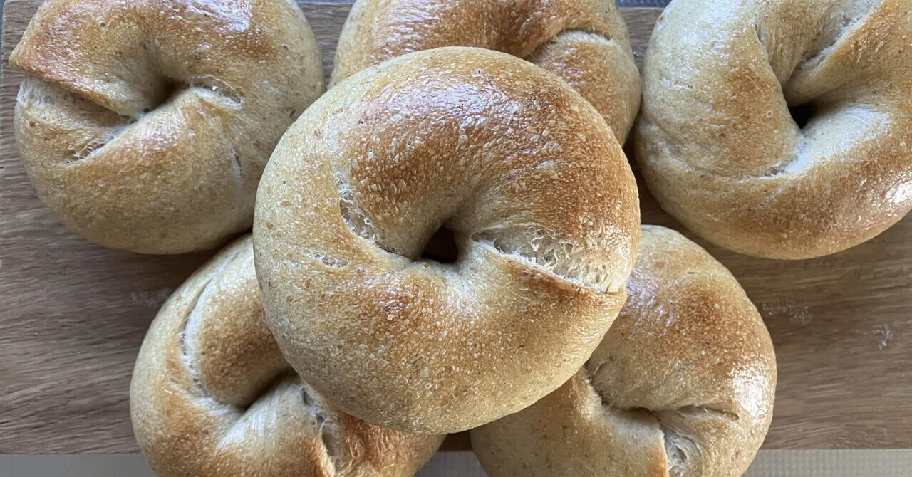 Bagel Note bagel|_s_n_m_1110