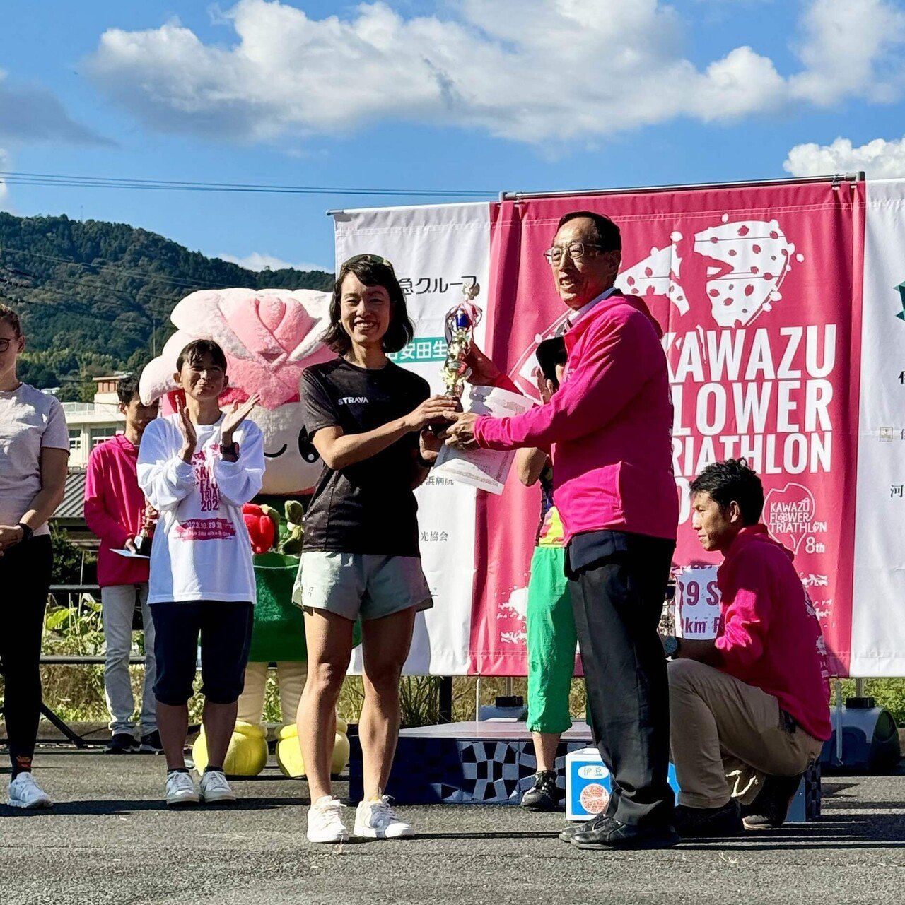 ドライフラワー❇️プロテア シャロン❣️ プロテア・シャロン ナチュラル ドライフラワー卸売り販売のミルキーウェイ