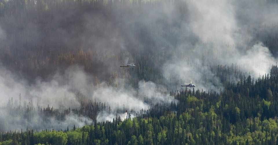 15歳 カナダへ行く 海外の山火事 Ramu Note