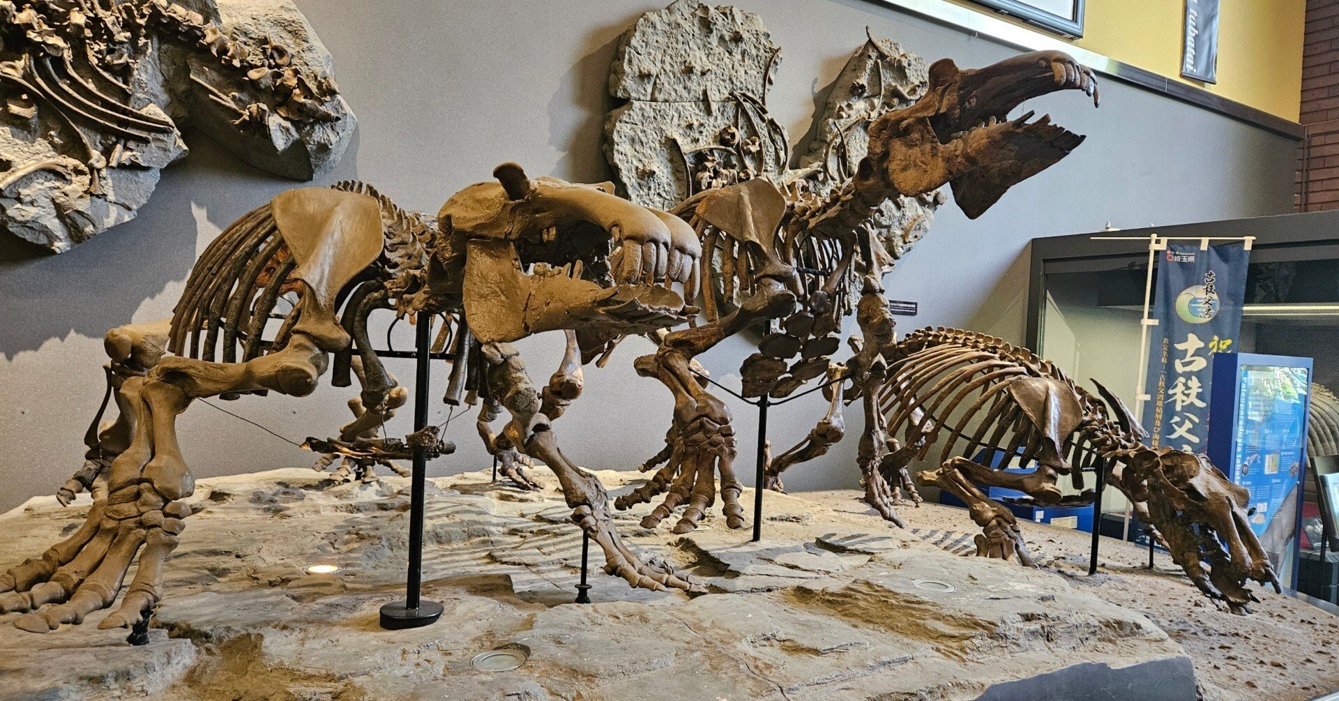 全国自然博物館の旅【8】埼玉県立自然の博物館｜美原さつき